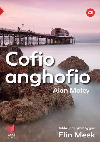 Cyfres Amdani: Cofio Anghofio (Paperback)