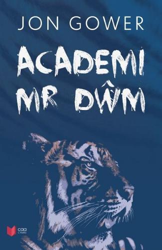 Academi Mr Dwm (Paperback)