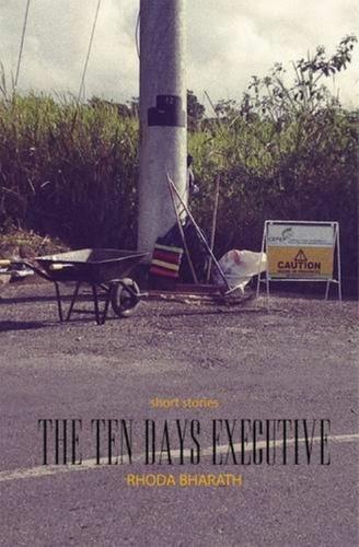 The Ten Day's Executive and Other Stories (Paperback)