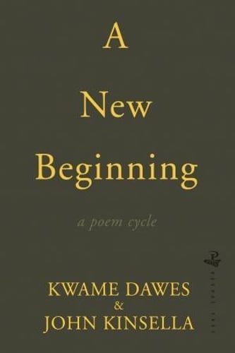 A New Beginning: A Poem Cycle (Paperback)