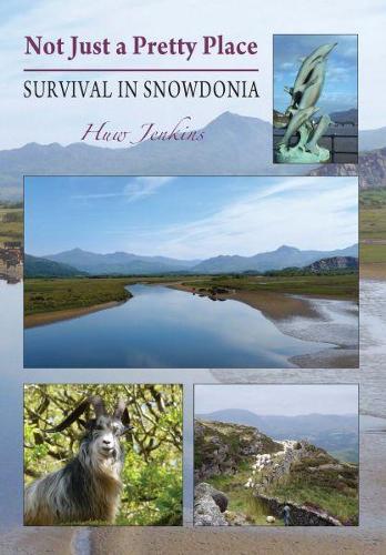 Not Just a Pretty Place - Survival in Snowdonia (Paperback)