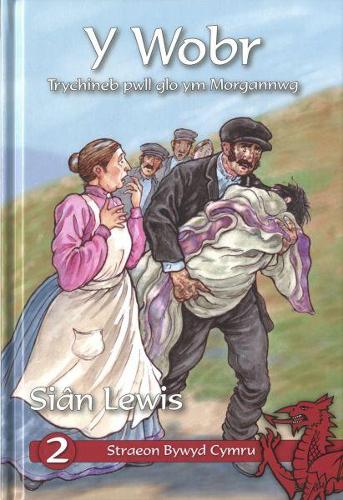 Cyfres Straeon Bywyd Cymru: Y Wobr (Hardback)