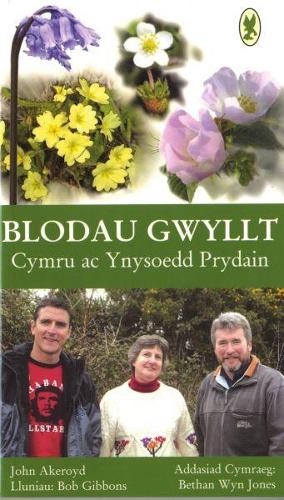 Blodau Gwyllt Cymru ac Ynysoedd Prydain (Paperback)