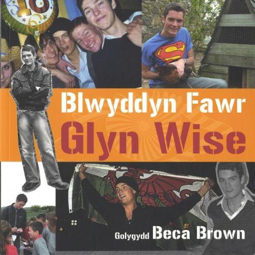Blwyddyn Fawr Glyn Wise (Paperback)