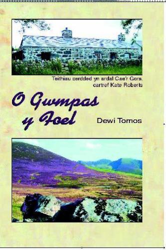 O Gwmpas y Foel (Paperback)