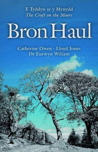 Bron Haul - Y Tyddyn ar y Mynydd/The Croft on the Moors (Paperback)