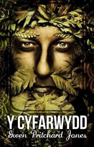 Cyfarwydd, Y (Paperback)