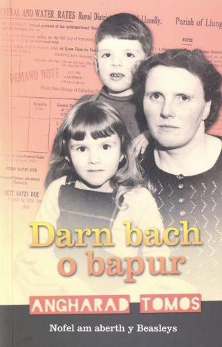 Darn Bach o Bapur (Paperback)