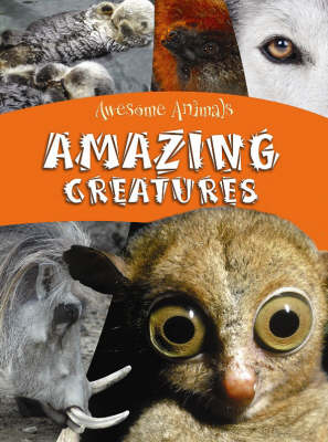 Amazing Creatures - Awesome Animals (Hardback)