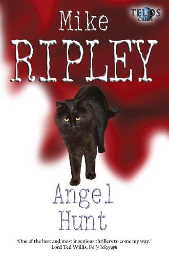 Angel Hunt - Angel Series 3 (Paperback)