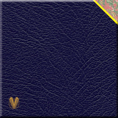Bahamas Speed Weeks (Leather / fine binding)