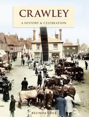 Crawley - A History And Celebration (Paperback)