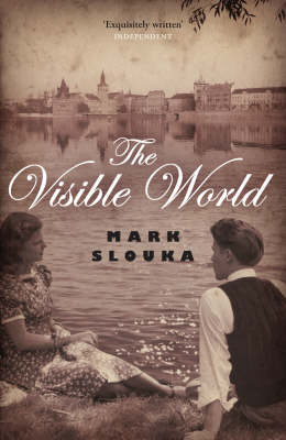 The Visible World (Paperback)