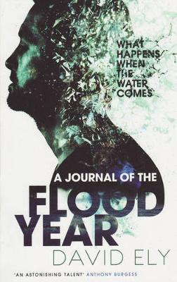 A Journal Of The Flood Year (Paperback)