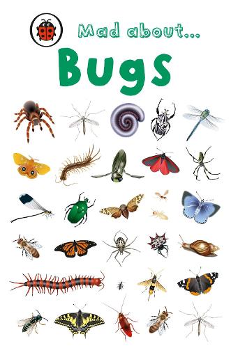 Mad About Bugs (Hardback)