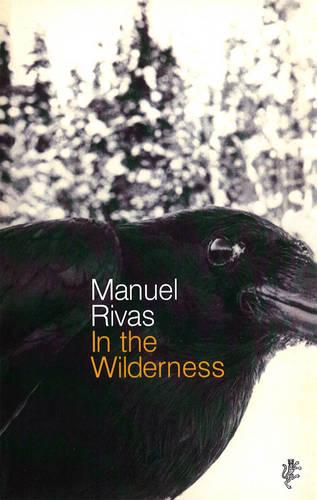 In The Wilderness (Paperback)