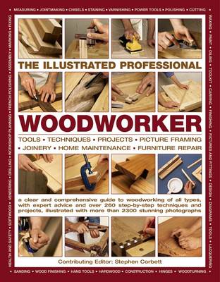 Illustrated Professional Woodworker (Paperback)