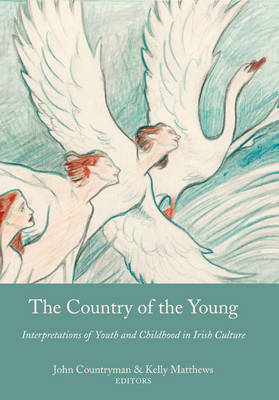 The Country of the Young: Interpretations of Youth and Childhood in Irish Culture (Hardback)