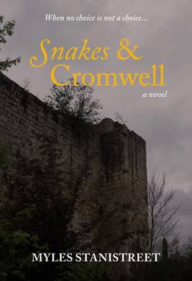 Snakes and Cromwell: a Fictional Tale of Sex and Skulduggery Set in the Present Day Republic of Ireland (Paperback)