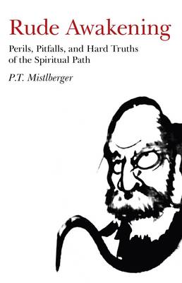 Rude Awakening: Perils, Pitfalls, and Hard Truths of the Spiritual Path (Paperback)