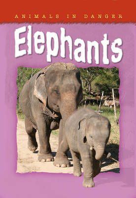 Animals in Danger: Elephants - Animals in Danger No. 6 (Paperback)