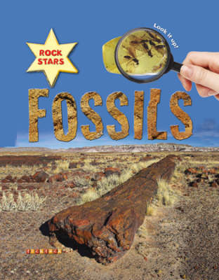 Rock Stars Fossils (Paperback)