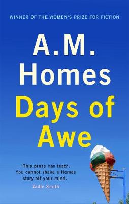 Days of Awe (Paperback)