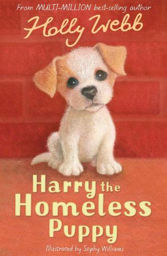 Harry the Homeless Puppy - Holly Webb