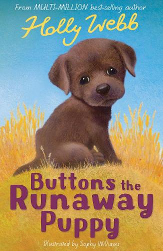 Buttons the Runaway Puppy - Holly Webb