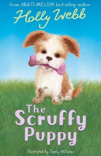 The Scruffy Puppy - Holly Webb Animal Stories (Paperback)
