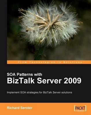 SOA Patterns with BizTalk Server 2009 (Paperback)