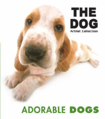 Adorable Dogs (Paperback)