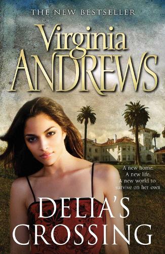 Delia's Crossing (Paperback)