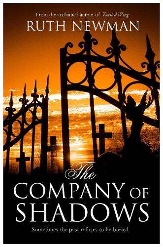 The Company of Shadows (Paperback)