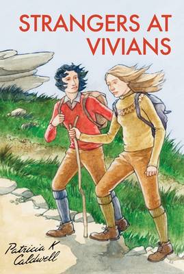 Strangers at Vivians - Vivians 3 (Paperback)
