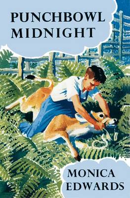 Punchbowl Midnight - Punchbowl Farm (Paperback)