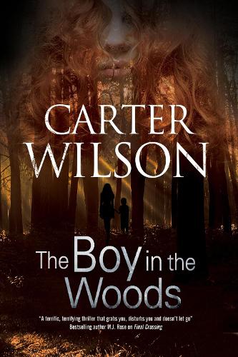 The Boy in the Woods (Paperback)