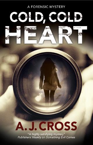 Cold, Cold Heart - A Kate Hanson mystery (Paperback)