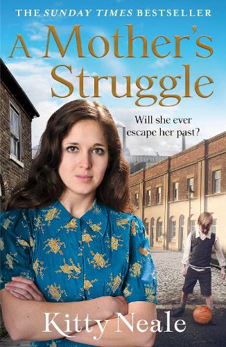 A Mother's Struggle (Paperback)