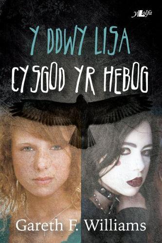Cyfres y Dderwen: Y Ddwy Lisa - Cysgod yr Hebog (Paperback)