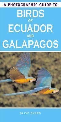 A Photographic Guide to Birds of Ecuador and Galapagos (Paperback)