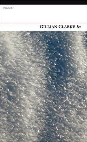 Ice (Paperback)