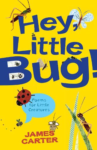 Hey Little Bug: Poems for Little Creatures (Paperback)