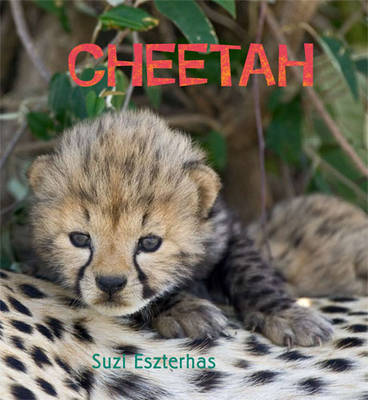 Cheetah (Hardback)