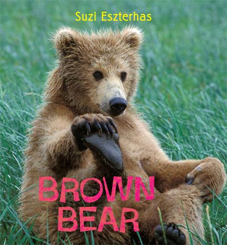 Brown Bear (Hardback)