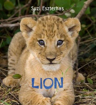 Lion (Hardback)