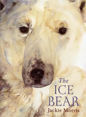 The Ice Bear (Paperback)
