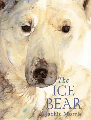 The Ice Bear Mini Edition (Hardback)