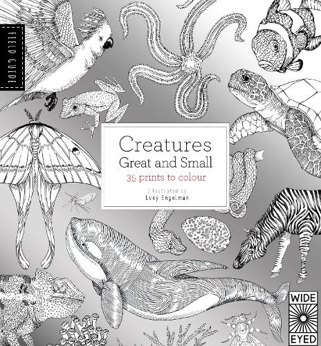 Field Guide: Creatures Great and Small (Paperback)