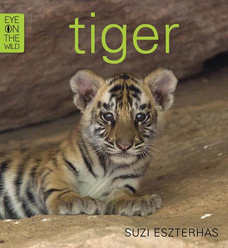 Tiger (Paperback)